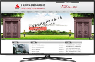 專業(yè)網(wǎng)絡(luò)技術(shù)服務(wù) 松江網(wǎng)站建設(shè)、制作與設(shè)計(jì)解決方案
